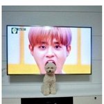 니네 콘서트 티켓 잃어버린적잇냐?