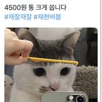 [NCT칠프] 이거 <b>재현</b>이래
