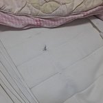 나 방금 방에있다가 심장떨어질뻔함;;;;