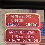 프메 4 하는데