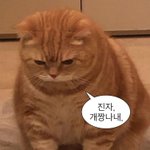 [댓글부탁해] <b>탈판</b>한다 진짜 개소름끼치네