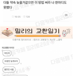 오늘 <b>집</b>에 엄<b>빠</b>없어서