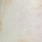 [조언부탁해] 컨실러 색좀 봐<b>주랑</b>