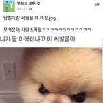 나도 한 번 싸워보고 싶음. 싸우고나서