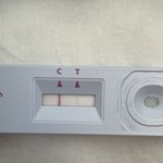 이거 <b>음성</b>이냐 양성이냐