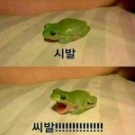 나 지방ㅈ반 내신 2.67인데