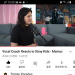 [스키즈] 해외리액터신데