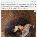 [NCT드림] 얘 누구냐곸ㅋㅋㅋㅋ ㅈㄴ 웃김 ㅋㅋㅋ