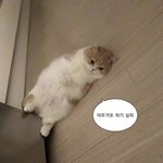 [드루와] 내일 <b>아우</b>터 뭐입을거야??