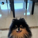 [방탄소년단] 우리 탄이 잘있구나