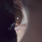 레드벨벳 일본 노래 뭐냐