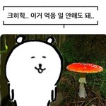 [댓글부탁해] 나랑<b>키배</b>뜰사람