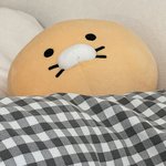[드루와] <b>춘식</b>이못생김..