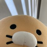 [드루와] 속눈썹 내려간게 더 이쁘다고 생각함