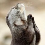 [드루와] 고백하고싶은데 어떡해...