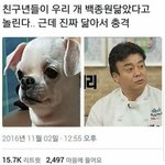 너네 이번달 얼마씀..?