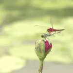 친한데 제품명 안알려주는건 무슨 ㅈ같은 <b>심보</b>임?