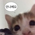 [댓글부탁해] 키트에 <b>레몬즙</b> 뿌려본 애 있냐