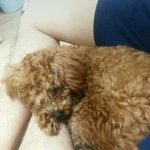 오빠품에서 코<b>자요</b> 울애기