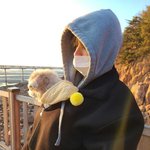 이재현 바라기