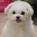 얘들아 <b>특기</b> 뭐쓰지