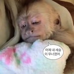 고딩인데 내일 <b>검사</b> 받으면