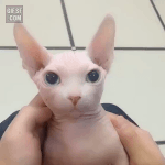 [19] 45도 <b>광대뼈</b>는 진짜  재앙이다