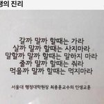[댓글부탁해] <b>토리</b>버치 어때?