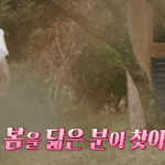 이번주 1박2일 게스트