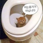 [댓글부탁해] <b>isfp</b>들 재회 받아줄거같아..?