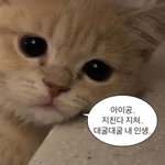 [댓글부탁해] 이거 여드름 <b>흉터</b> 어케 치료해??