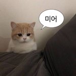 [댓글부탁해] 보통-<b>마름</b> 치팅데이 며칠에 한번해야행