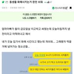얟들아 나 과제하는데 너희의 도움 ssoo 필요!!