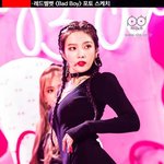 조이 악플