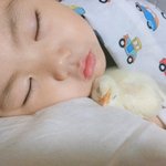 <b>인디</b>밴드 중에 그 뭔 세탁소?? 라는 이름이었는데