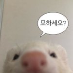 얘들아 추반좀
