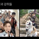 [NCT칠프] 일이칠보고싶다