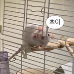단어장 추반 해주면 <b>중간</b> 올1
