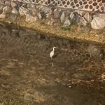 [ㅈㄱㄴ] 내 친구 삼수한다는데 공부 안하는거같음