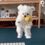 [군대] 전정국 <b>텐션</b> 미쳤는데