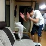 [NCT칠프] 기분 지금 댕좋음 <b>와라</b> 빨리