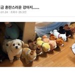 [드루와] <b>미대</b>입시 궁금한 거 있는사람!