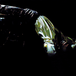 [우리<b>태용님</b>] 샹들리에 태용