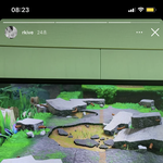 우리 금쪽이 <b>미국가</b>서 닌텐도하고 있네