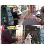 <b>자본</b>주의가 낳은 개물