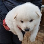 고12들 <b>자퇴</b> 진지하게 생각해보셈
