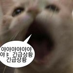 [댓글부탁해] 짝남한테 카톡 보낼까 말까