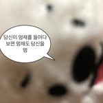 [드루와] 근데 이지현네 <b>금쪽</b>이랑 천러랑 닮지 않았냐
