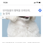 [이것좀봐줘] 경태아버지 논란이 너무 <b>과열</b>되었지 않나 싶어요 ㅠㅠ