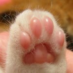 와 <b>내</b> <b>눈</b> 한달전이랑 현재 차이봐